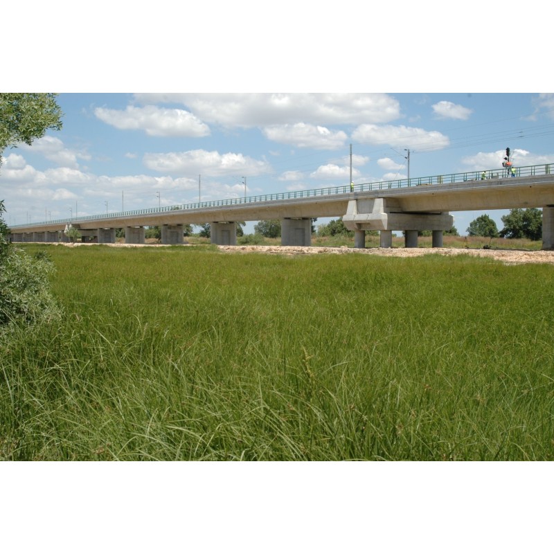 SANTANA DO CARTAXO VIADUCT